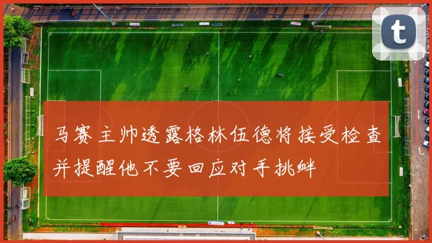 马赛主帅透露格林伍德将接受检查并提醒他不要回应对手挑衅
